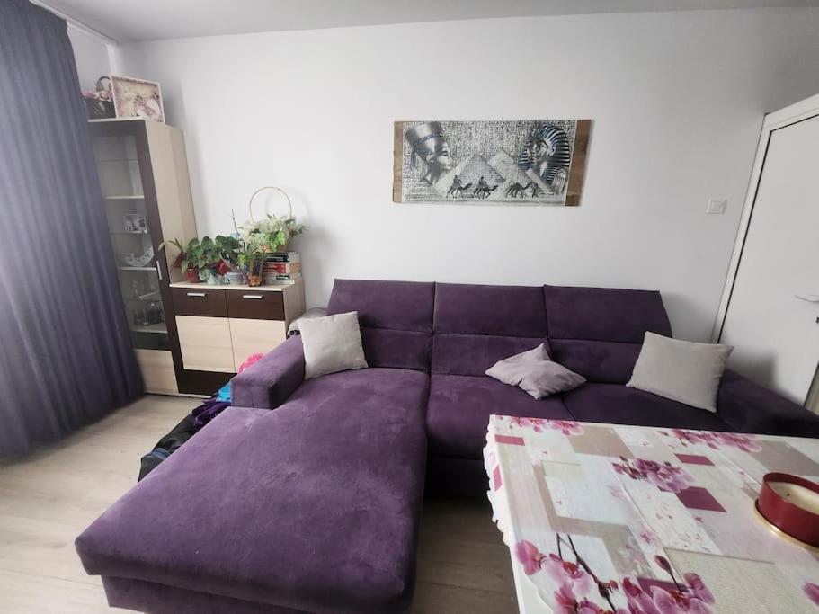 Modern Apartment. Best Location Apartemen Sofia