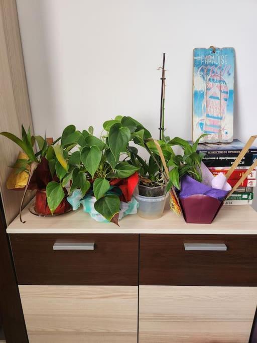 Modern Apartment. Best Location * Sofia